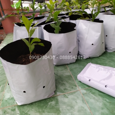 Túi nylon trồng cây đục lỗ 18cm x 36cm 1kg