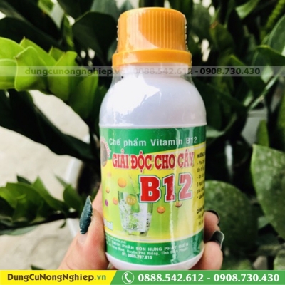 Chế phẩm vitamin B12 ( chai 100ml )