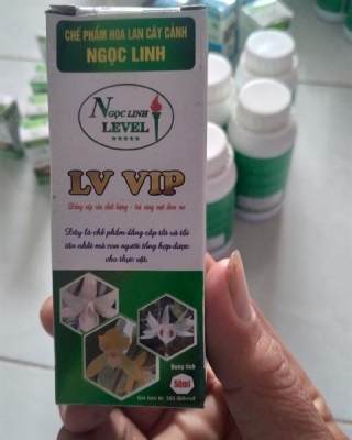 Dinh dưỡng LV NGọc Linh(50ml)