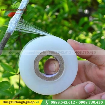 Băng ghép cây cuộn trắng 3cm dài 85m