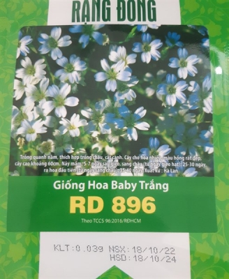 Hoa baby trắng RD 896